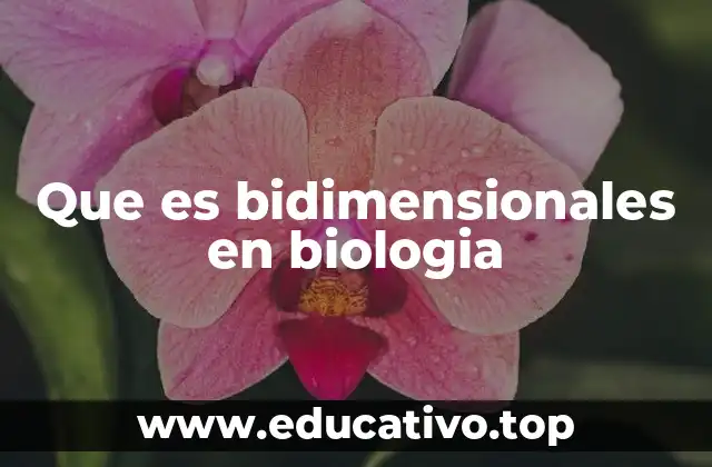 Que es bidimensionales en biologia