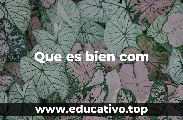Que es bien com