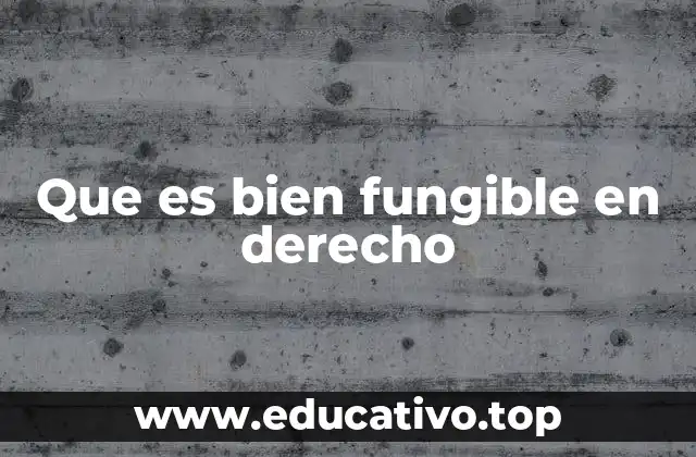 Que es bien fungible en derecho