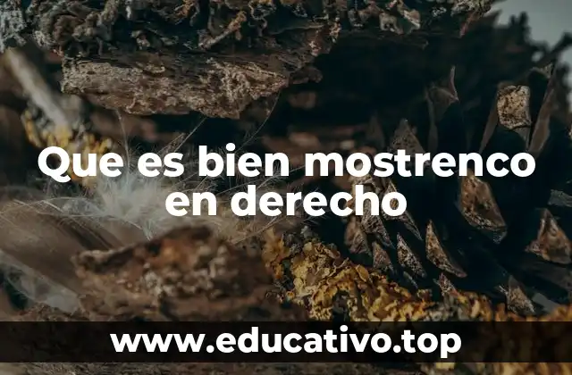 Que es bien mostrenco en derecho