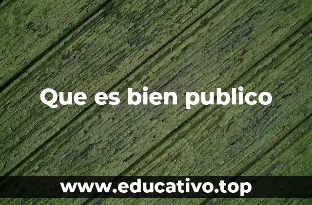 Que es bien publico