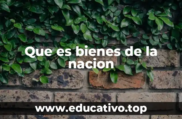 Que es bienes de la nacion