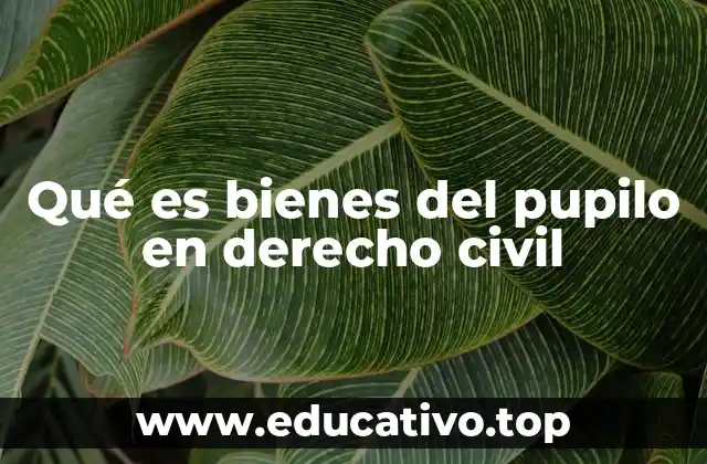 Qué es bienes del pupilo en derecho civil