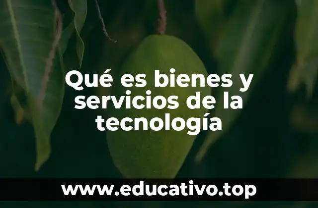 Qué es bienes y servicios de la tecnología