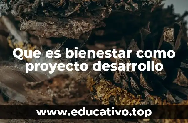 Que es bienestar como proyecto desarrollo