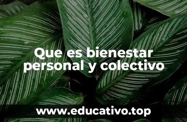 Que es bienestar personal y colectivo