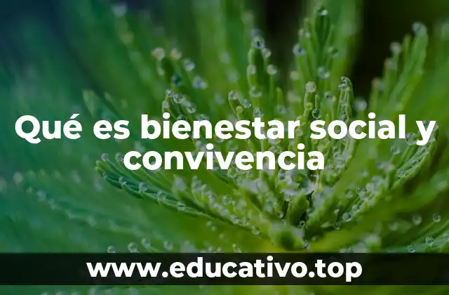 Qué es bienestar social y convivencia
