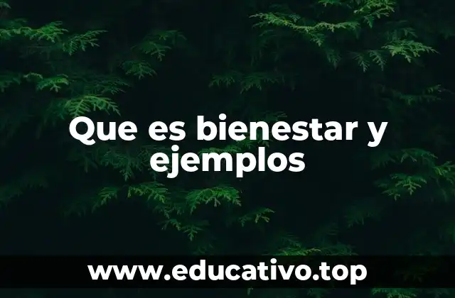 La importancia del bienestar en la sociedad moderna