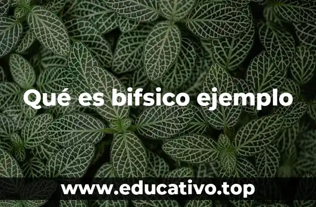 Qué es bifsico ejemplo