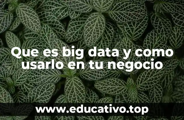 La importancia del análisis de datos en el entorno empresarial