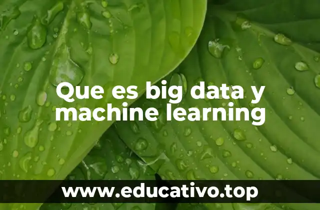 Que es big data y machine learning