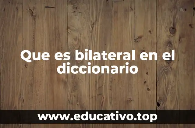 Que es bilateral en el diccionario