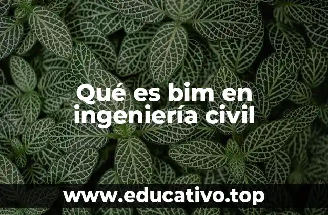 Qué es bim en ingeniería civil