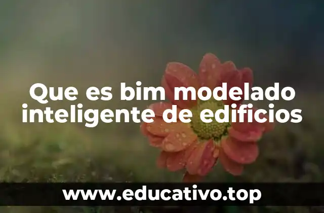 Que es bim modelado inteligente de edificios
