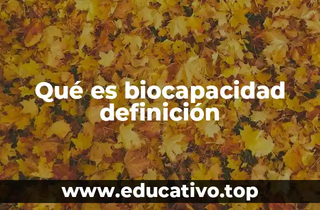 Qué es biocapacidad definición