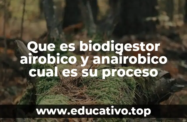 Que es biodigestor airobico y anairobico cual es su proceso