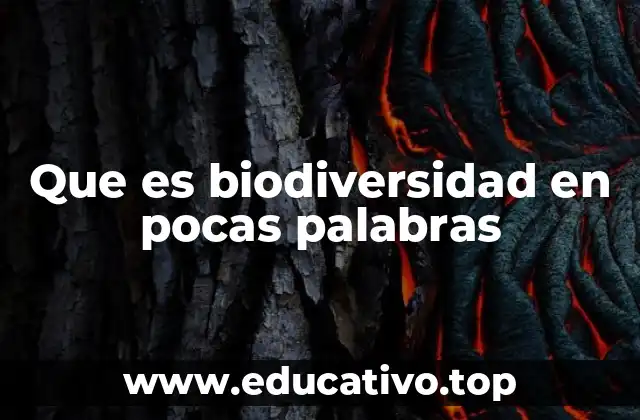 Que es biodiversidad en pocas palabras