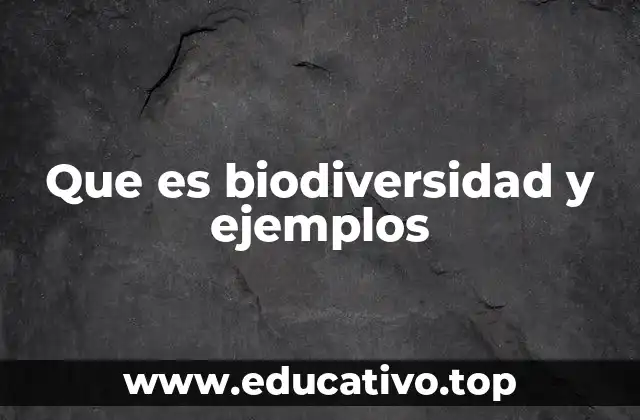 Que es biodiversidad y ejemplos