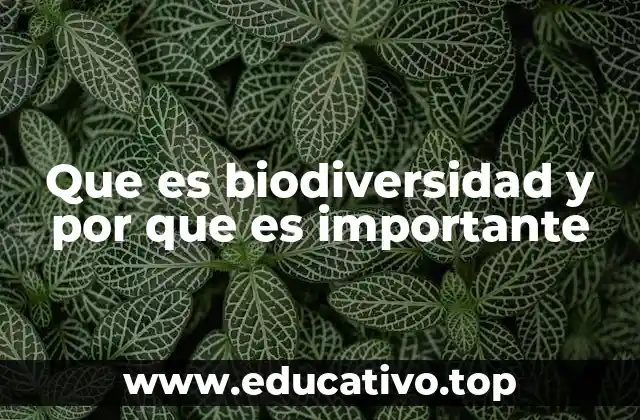 Que es biodiversidad y por que es importante