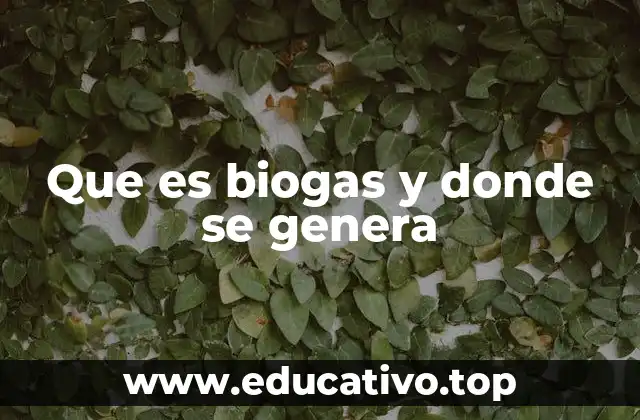 Que es biogas y donde se genera