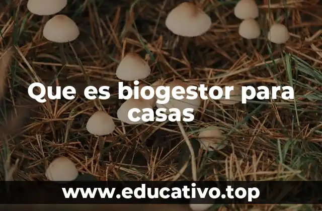 Que es biogestor para casas