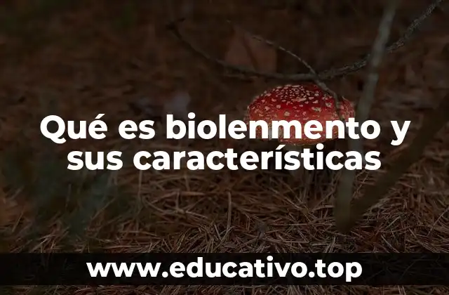 Qué es biolenmento y sus características