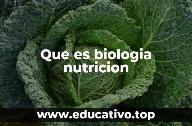 Que es biologia nutricion