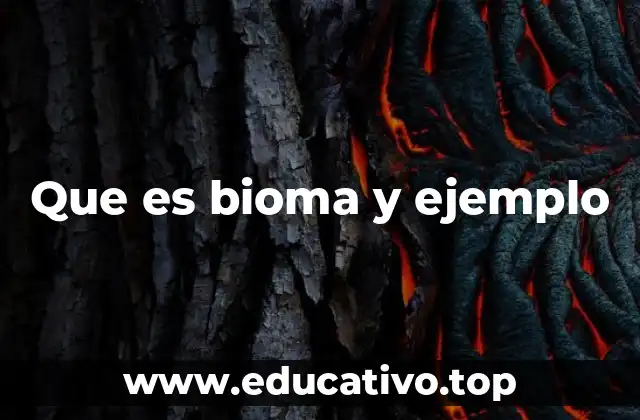Que es bioma y ejemplo
