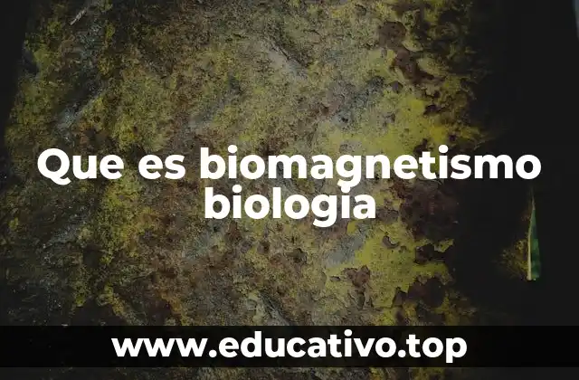 Que es biomagnetismo biologia
