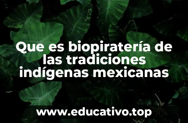 El enfoque cultural de la biopiratería en México