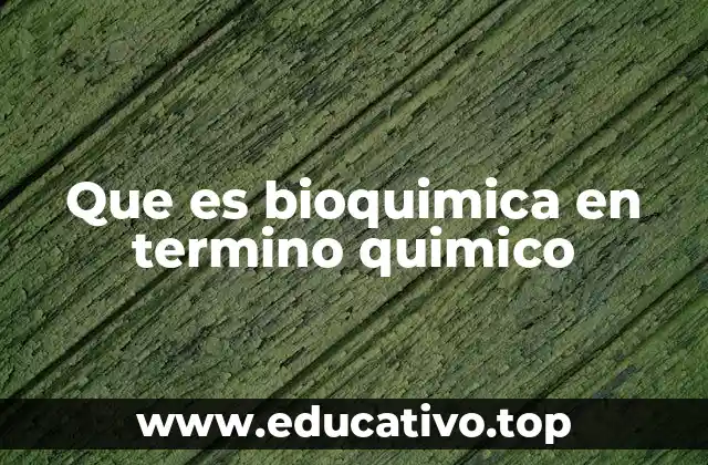 Que es bioquimica en termino quimico