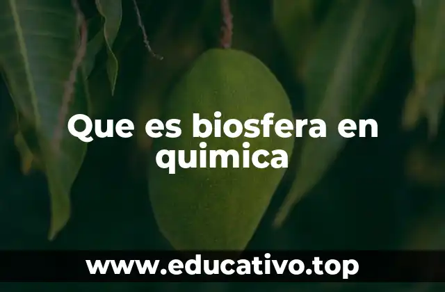 Que es biosfera en quimica