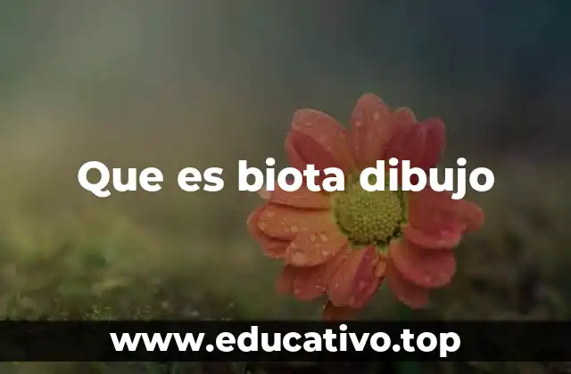 Que es biota dibujo