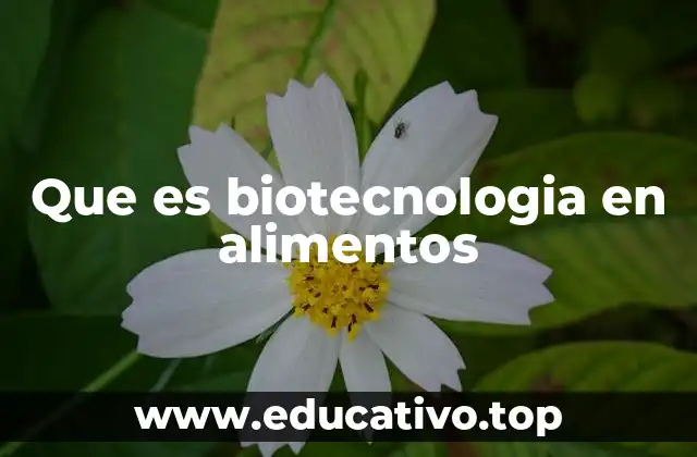 Que es biotecnologia en alimentos