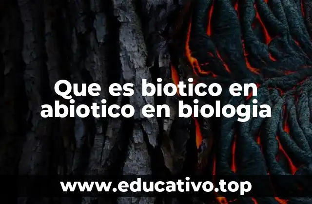 Componentes esenciales que definen a un ecosistema