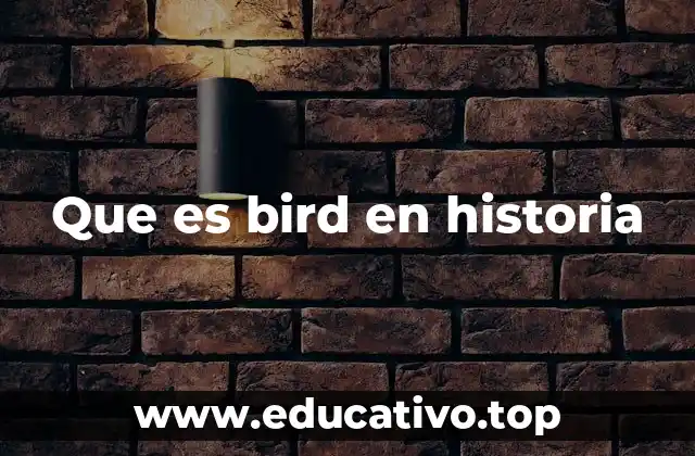 Que es bird en historia
