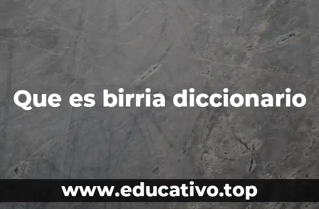 Que es birria diccionario