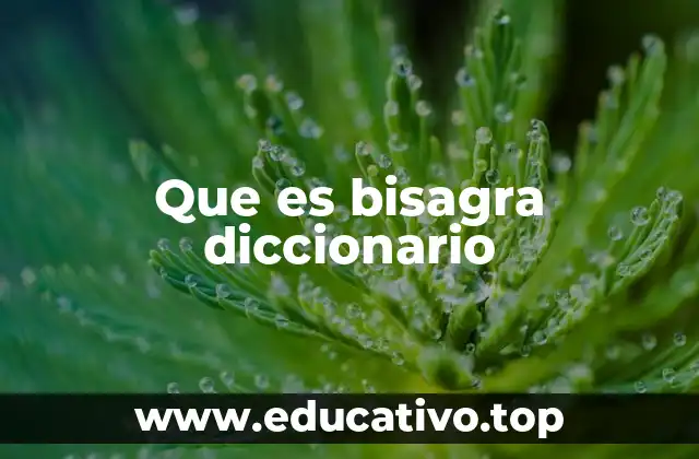 Que es bisagra diccionario