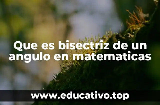 Que es bisectriz de un angulo en matematicas