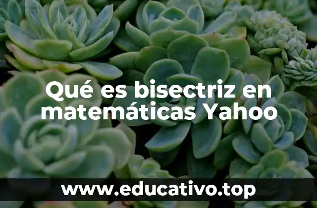 Propiedades y características de la bisectriz