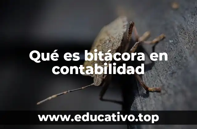 Qué es bitácora en contabilidad