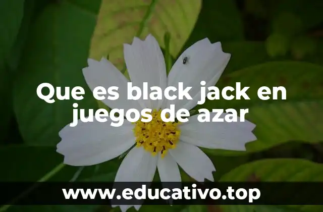 Que es black jack en juegos de azar