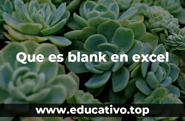 Que es blank en excel