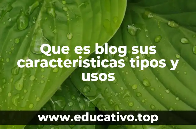 Que es blog sus caracteristicas tipos y usos