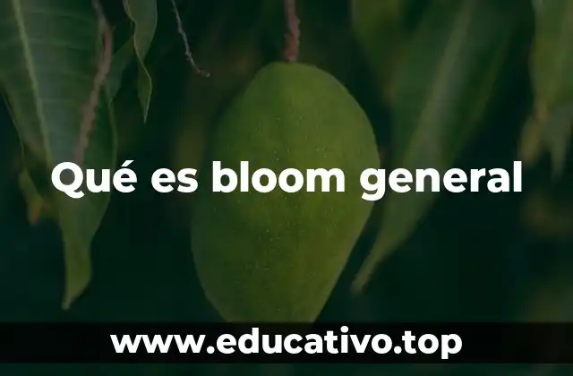 Qué es bloom general