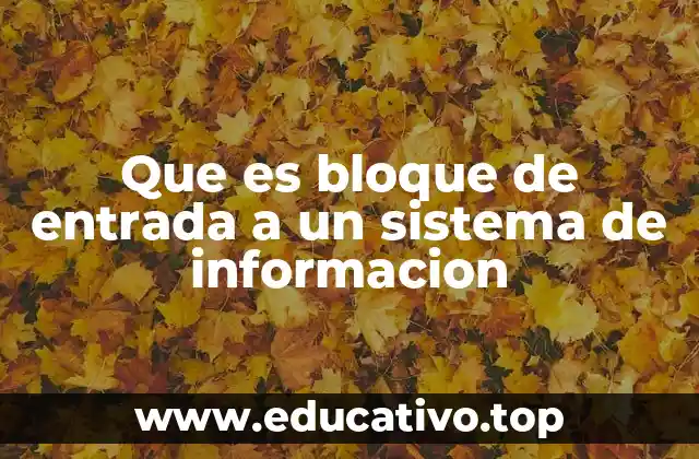 Que es bloque de entrada a un sistema de informacion