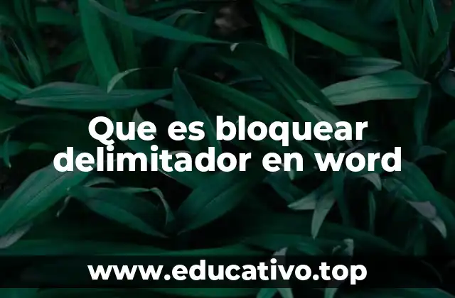 Que es bloquear delimitador en word