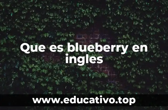 El blueberry como parte de la cultura culinaria estadounidense