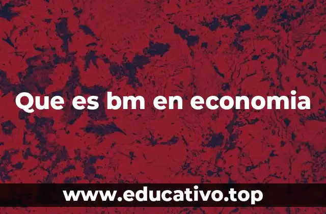 Que es bm en economia