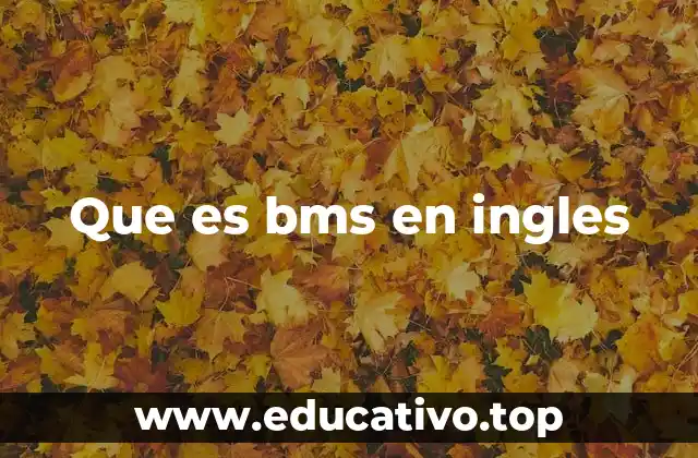 Que es bms en ingles